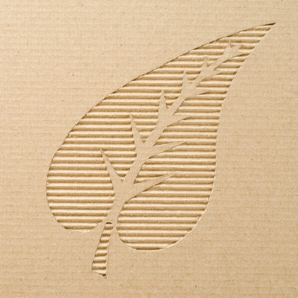 Leaf on Corrugated Cardboard